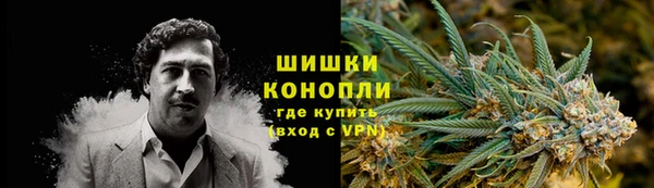 шишки Балахна