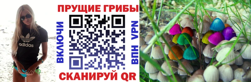 наркота  Пыталово  Псилоцибиновые грибы прущие грибы 